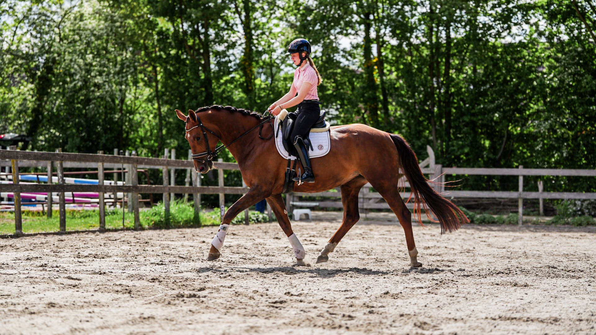 kwpn dressuurpaard merrie 5 ani vos de vânzare - Foto 5
