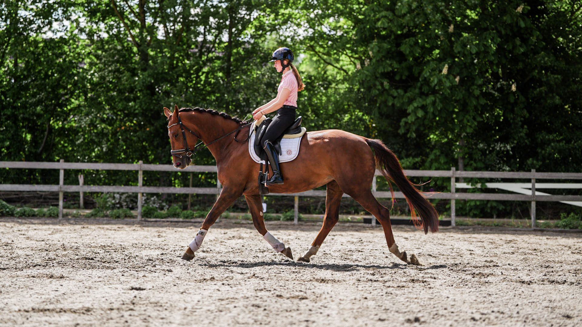 kwpn dressuurpaard merrie 5 ani vos de vânzare - Foto 3