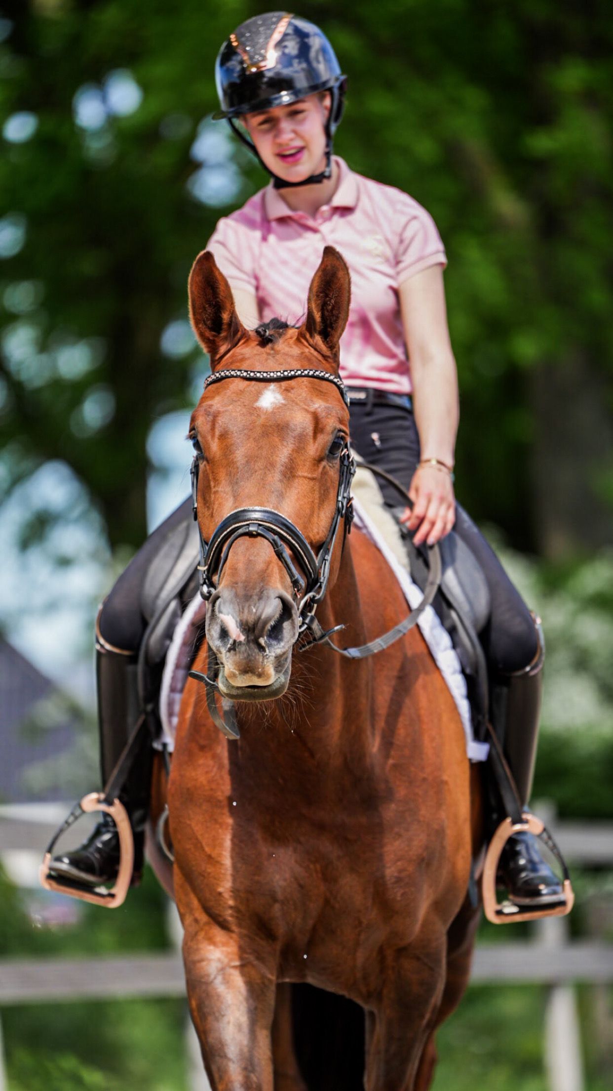 kwpn dressuurpaard merrie 5 ani vos de vânzare - Foto 4