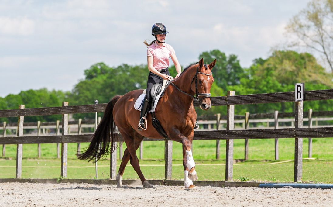 kwpn dressuurpaard merrie 5 ani vos de vânzare - Foto 6