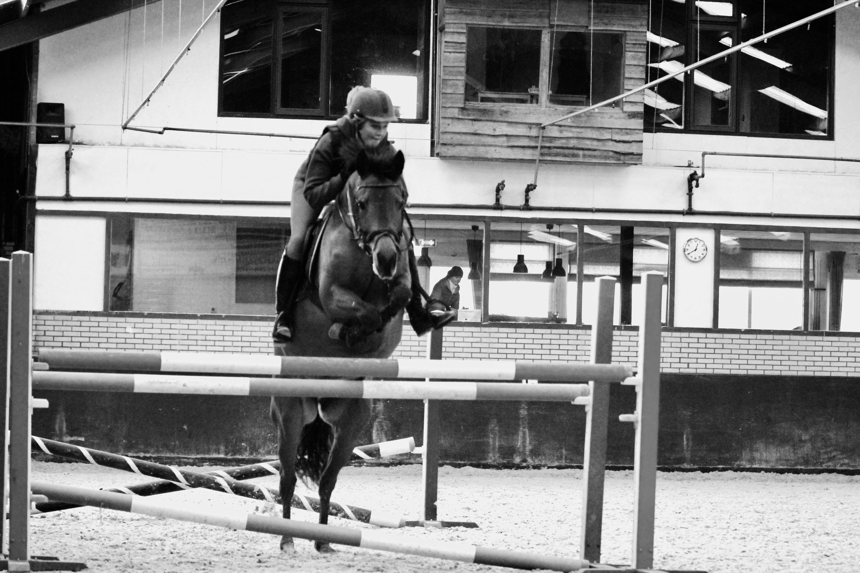 Enthousiaste allround/springpony (Newforest)