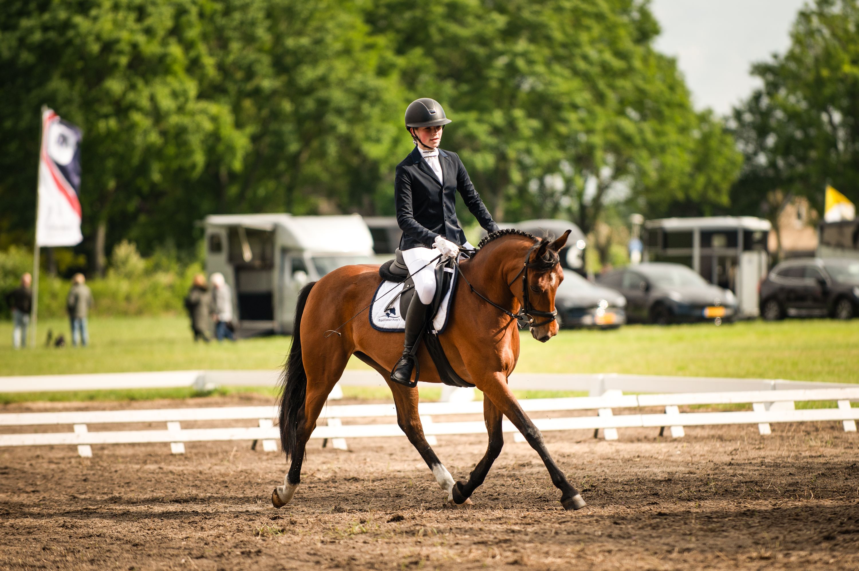 NRPS allround-pony Merrie 6 år Bruin till salu - Foto 5