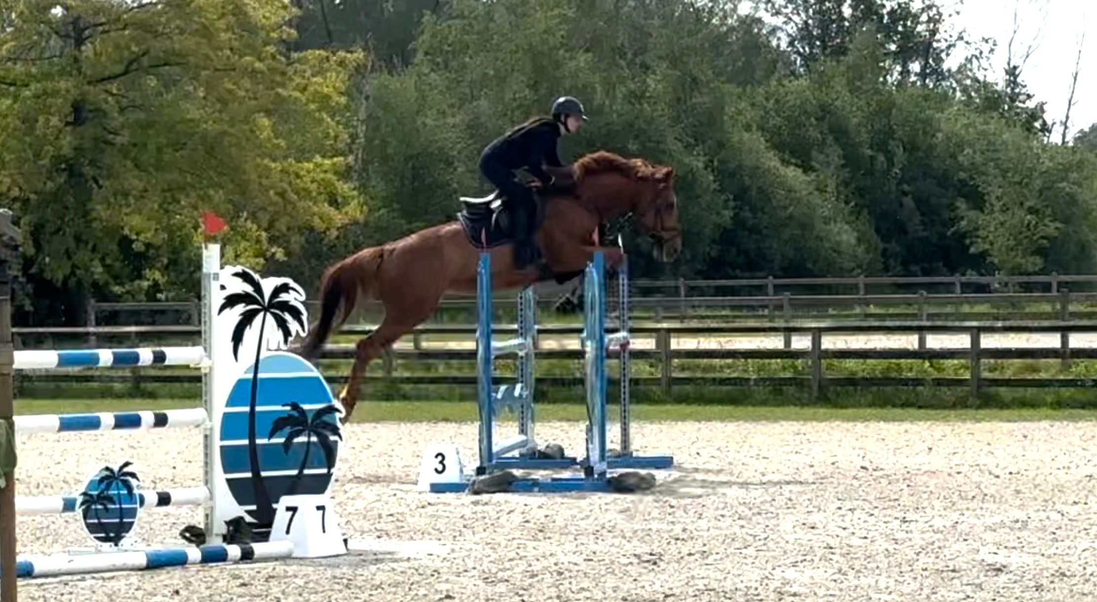 7yo Power de Bo Z