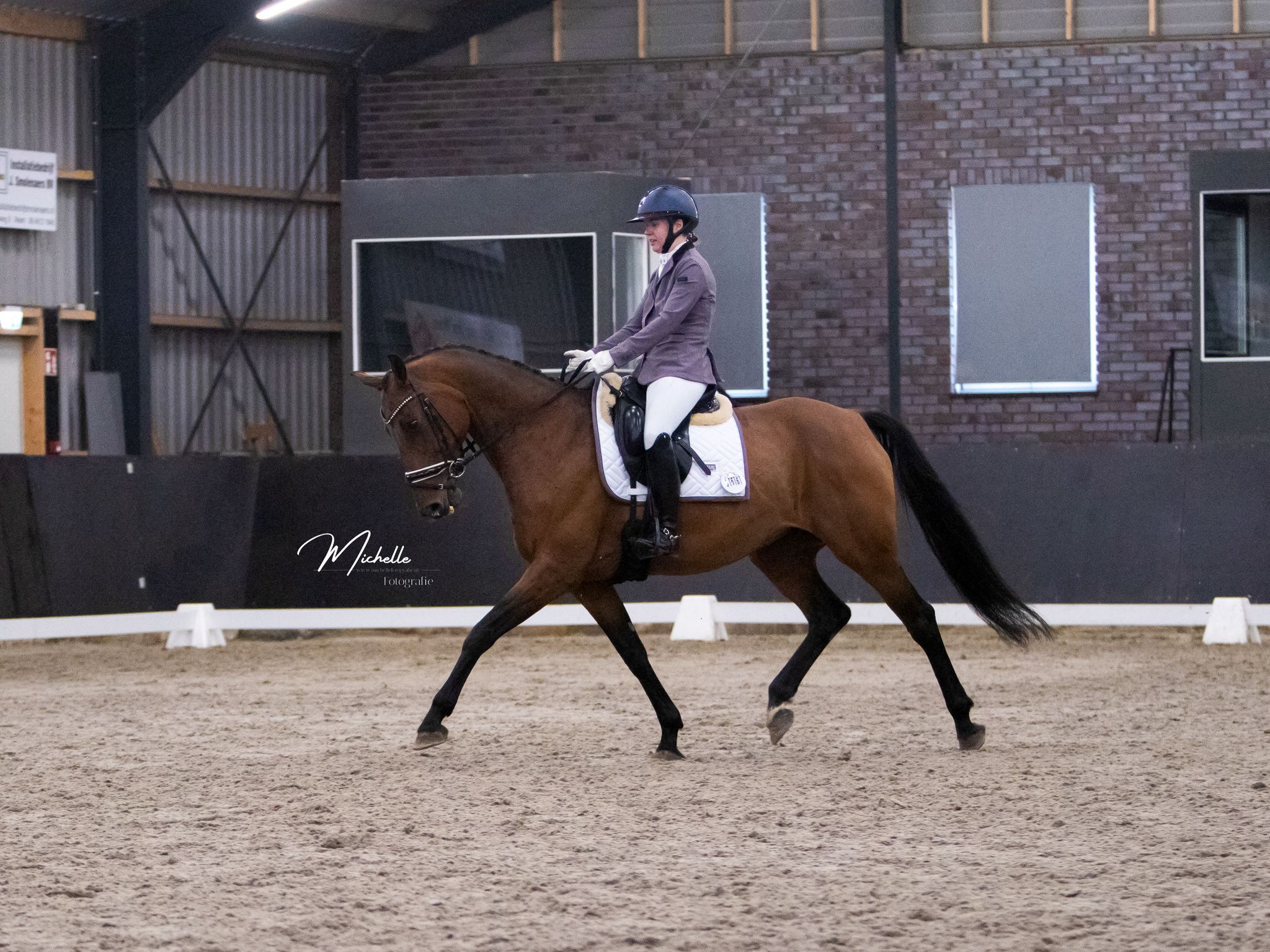 kwpn dressuurpaard merrie 13 jaar te koop - Foto 3