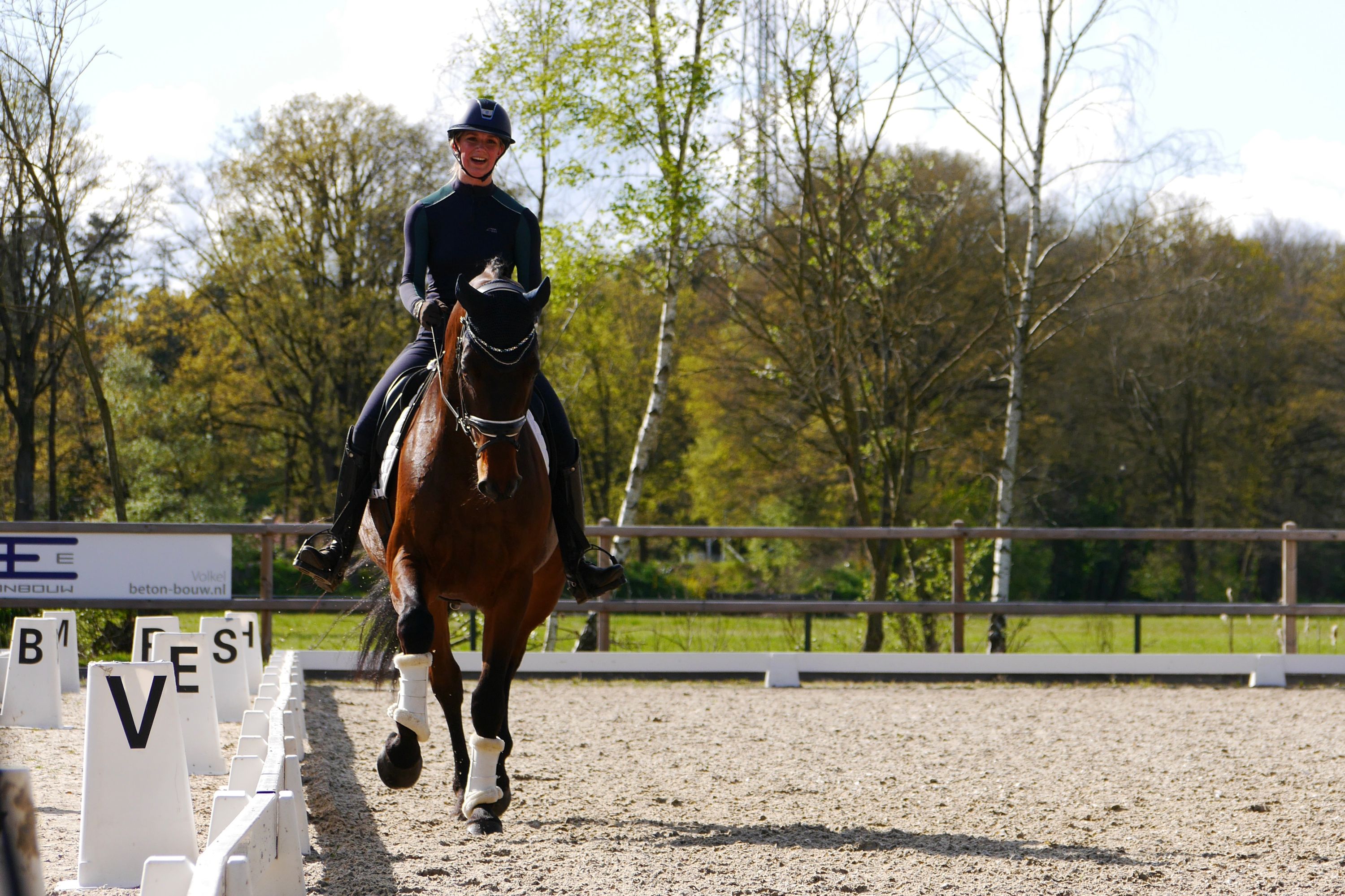 kwpn dressuurpaard ruin 7 歳 donkerbruin 売り出し中 - 写真 6