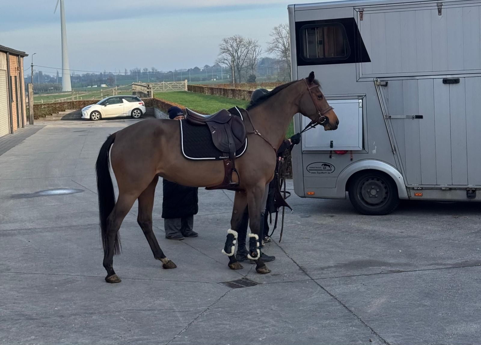springpaard merrie 6 years old for sale - Photo 2