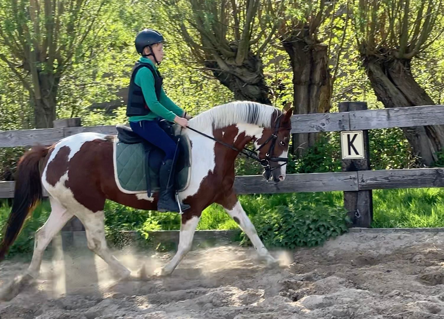allround-pony merrie 6 años en venta - Foto 2