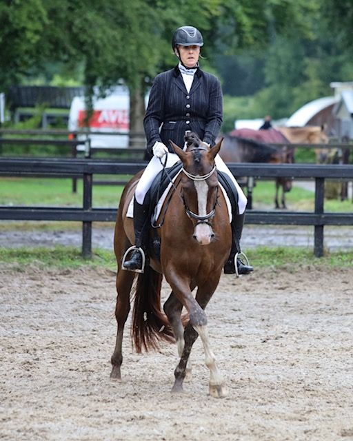 kwpn dressuurpaard merrie 5 岁 kastanje 出售 - 照片 3