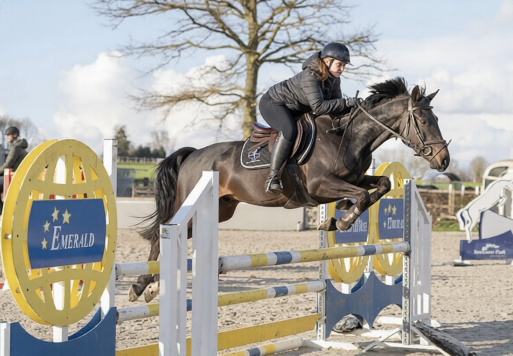 sbs springpaard ruin 5 anos zwart à venda - Foto 2
