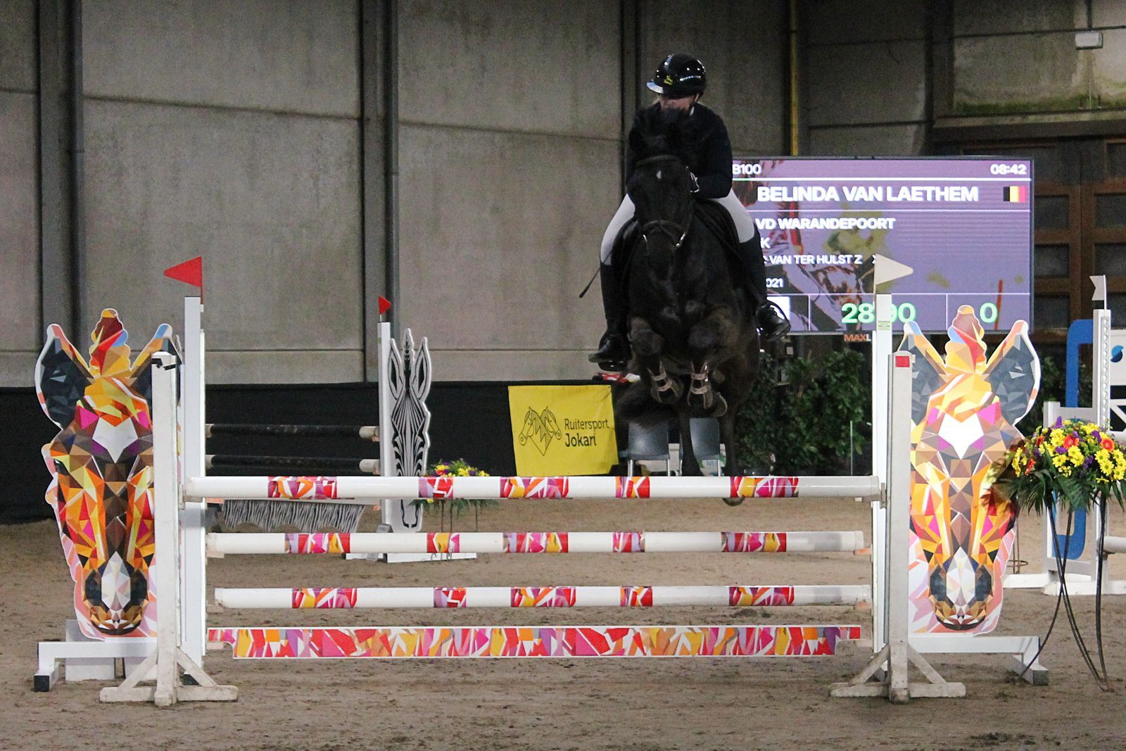 sbs springpaard ruin 5 anos zwart à venda - Foto 4