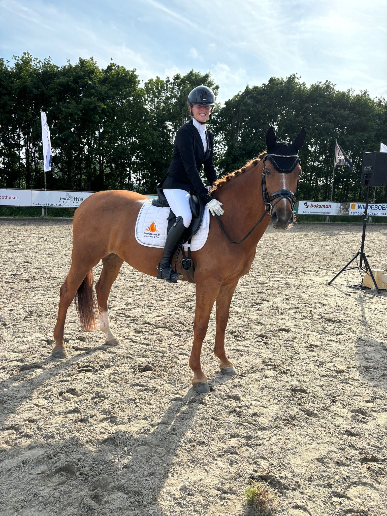 kwpn dressuurpaard merrie 9 years old vos for sale - Photo 4