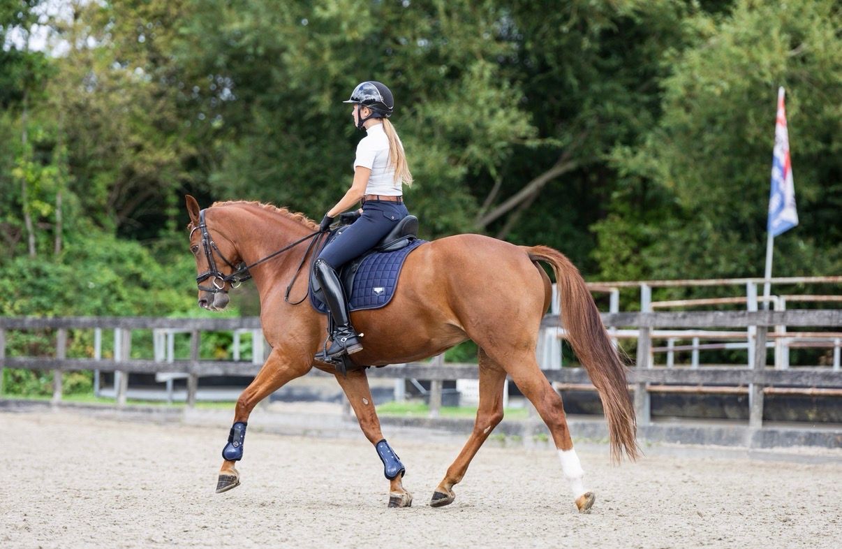 kwpn dressuurpaard merrie 9 years old vos for sale - Photo 3