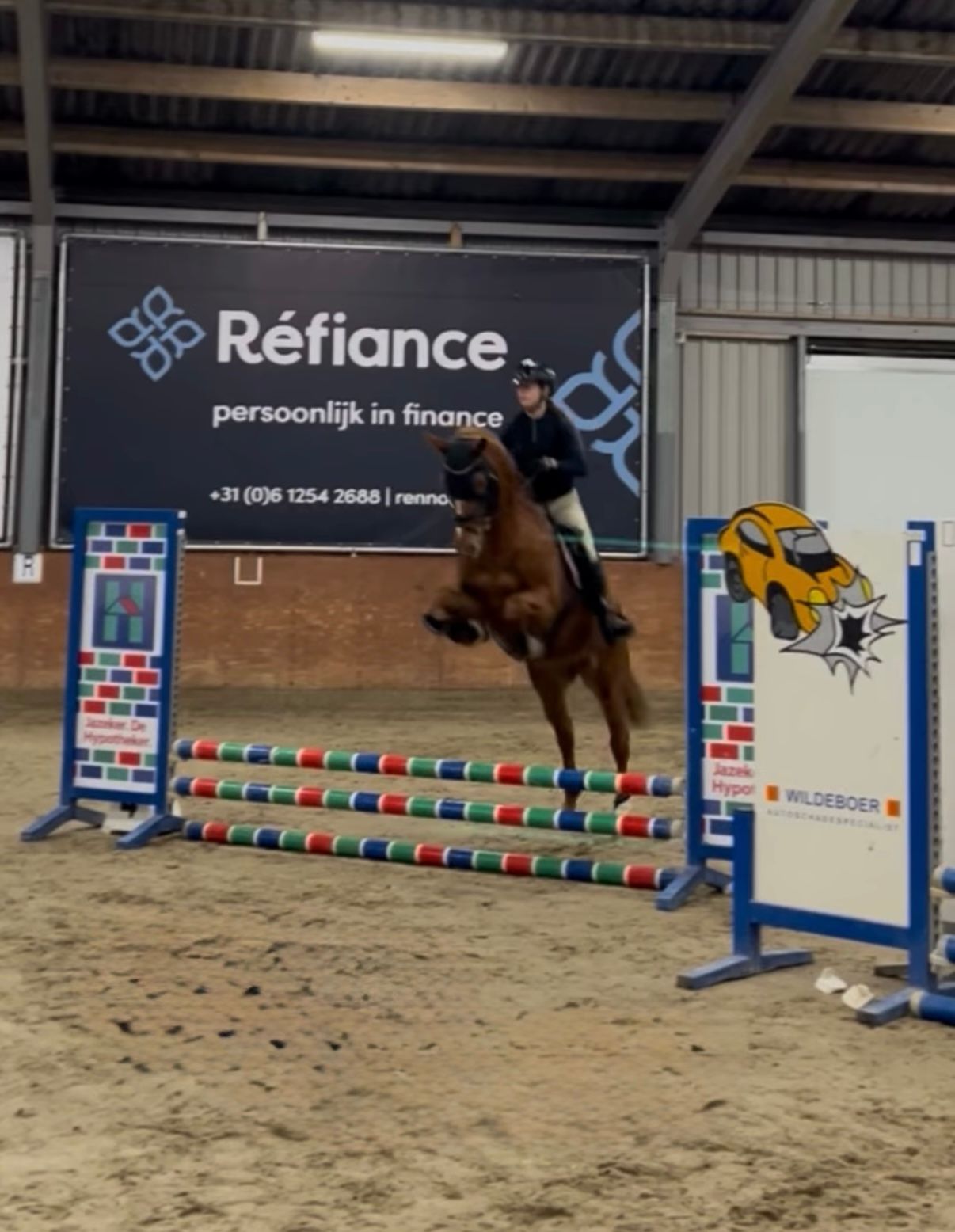 kwpn dressuurpaard merrie 9 years old vos for sale - Photo 5