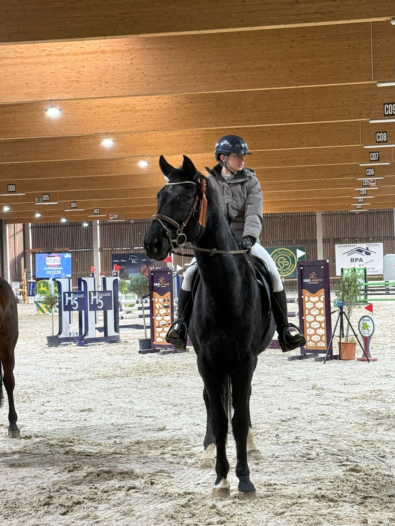 bwp springpaard ruin 14 år zwart till salu - Foto 5