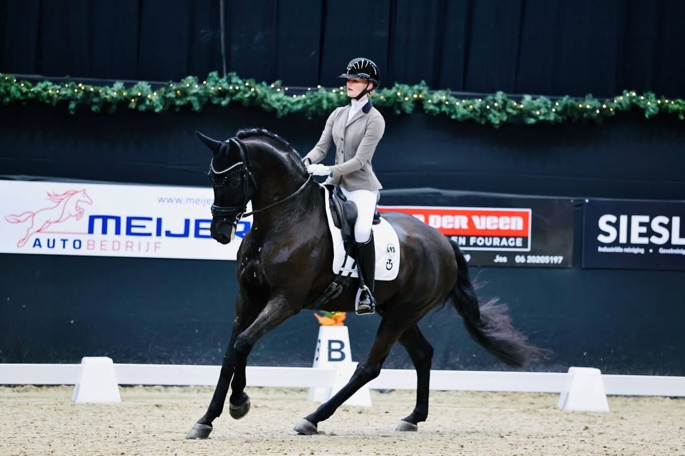 dressuurpaard ruin 17 jaar zwart te koop - Foto 4