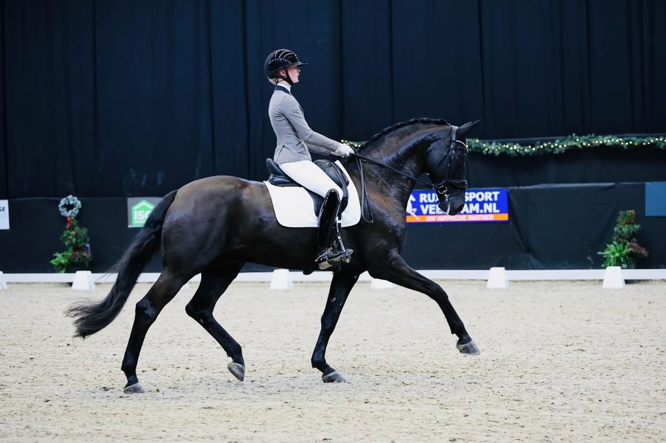 dressuurpaard ruin 17 jaar zwart te koop - Foto 5