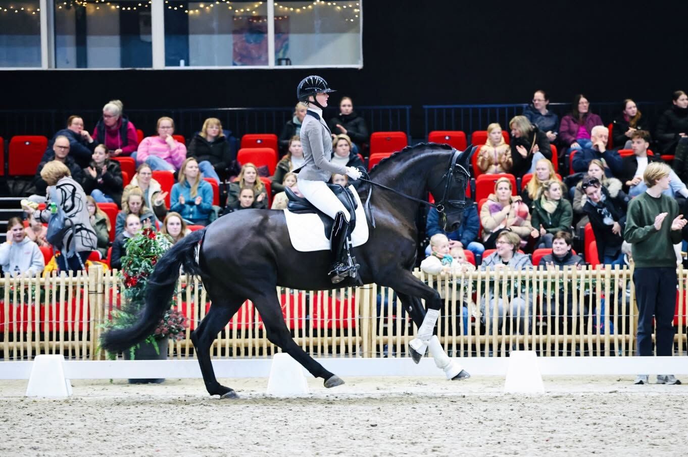 dressuurpaard ruin 17 jaar zwart te koop - Foto 3