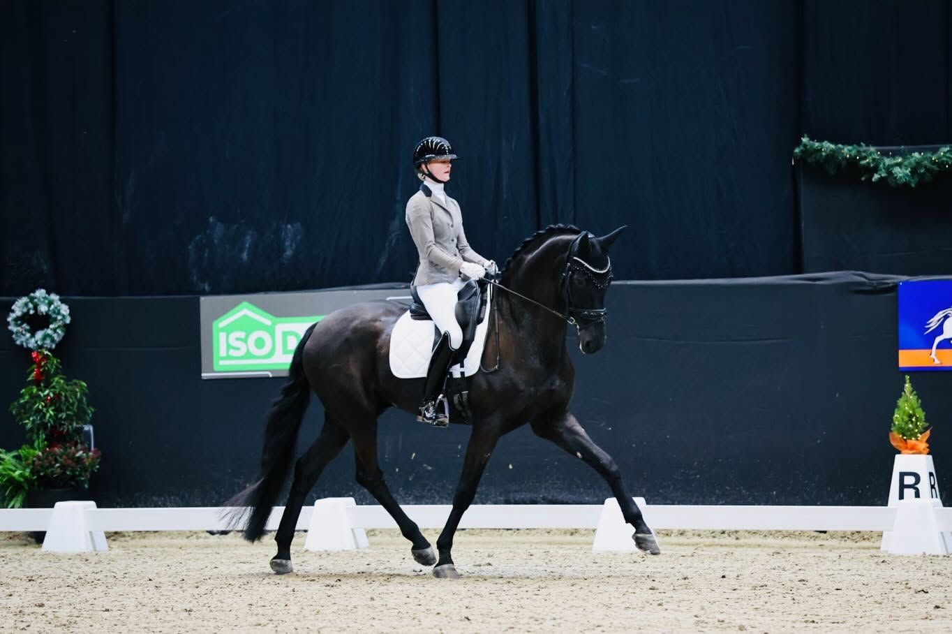 dressuurpaard ruin 17 jaar zwart te koop - Foto 6