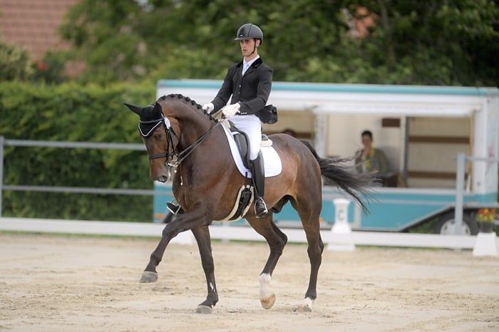 PSG/Inter I horse
