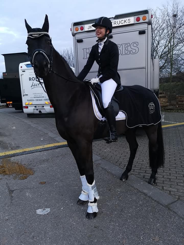 hanovarian dressuurpaard ruin 15 years old zwart for sale - Photo 2