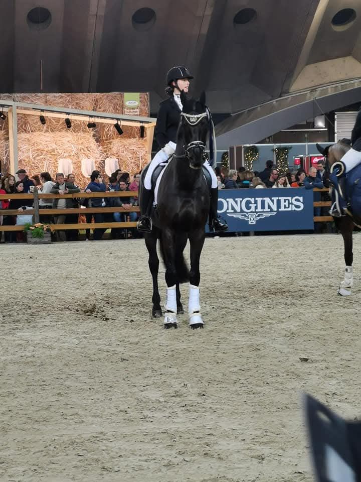 À vendre : cheval de dressage expérimenté Prins "Fürst Haepke"