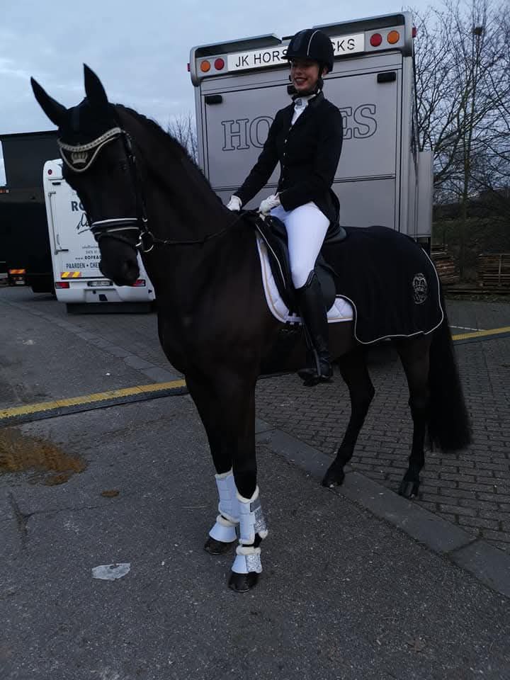 hanovarian dressuurpaard ruin 15 years old zwart for sale - Photo 3