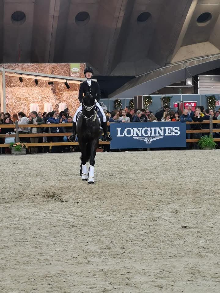 hanovarian dressuurpaard ruin 15 years old zwart for sale - Photo 4
