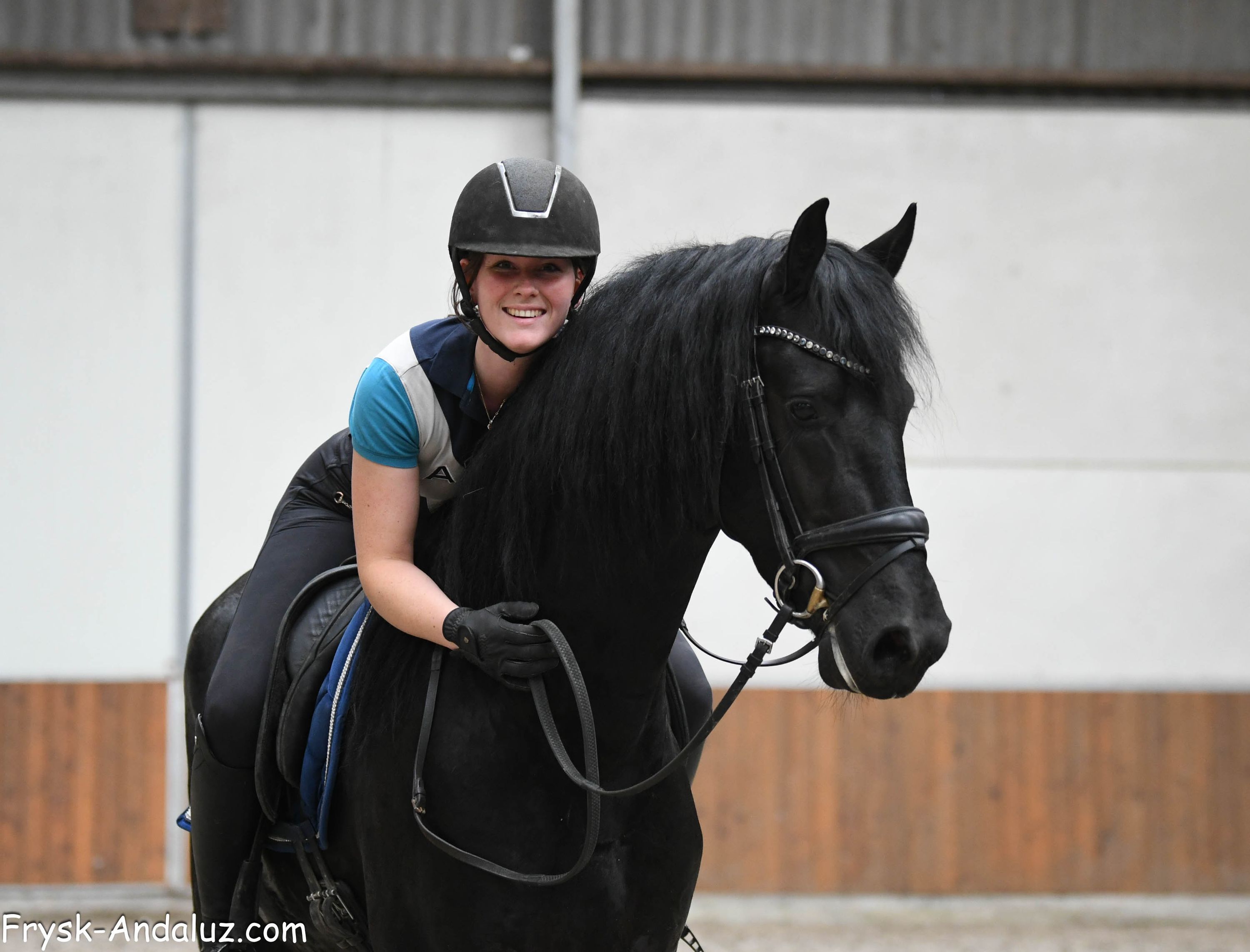 dressuurpaard hengst 3 years old zwart for sale - Photo 5