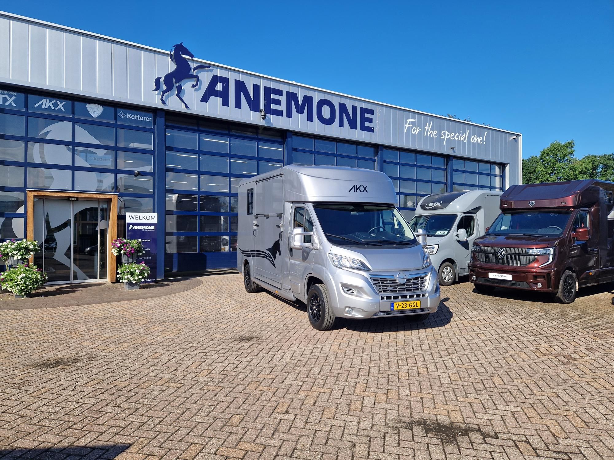 Young used stallion edition AKX Opel Movano Anemone (id:13)