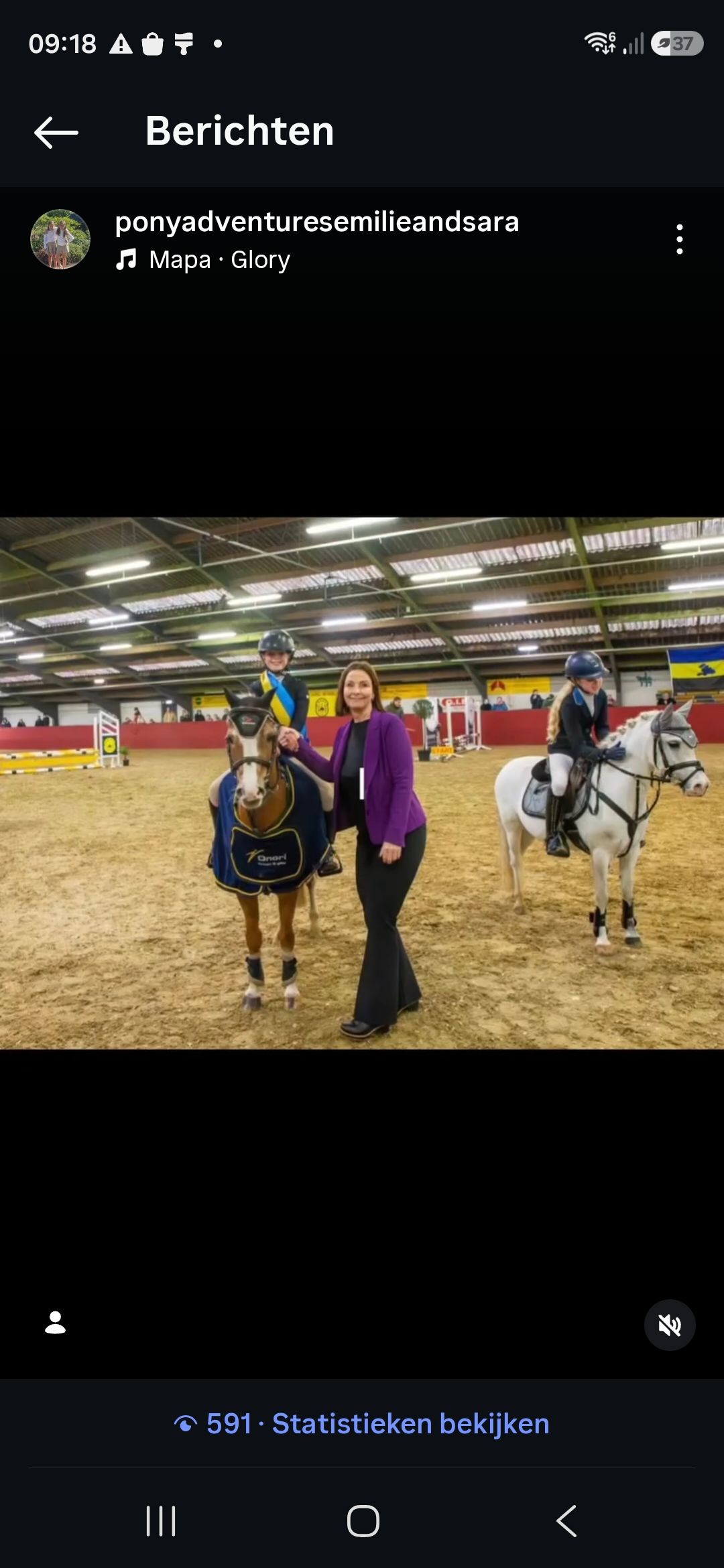 Poney de concours gagnant