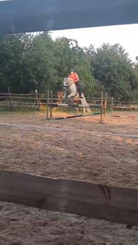 allrounder ruin 14 år schimmel till salu - Foto 4