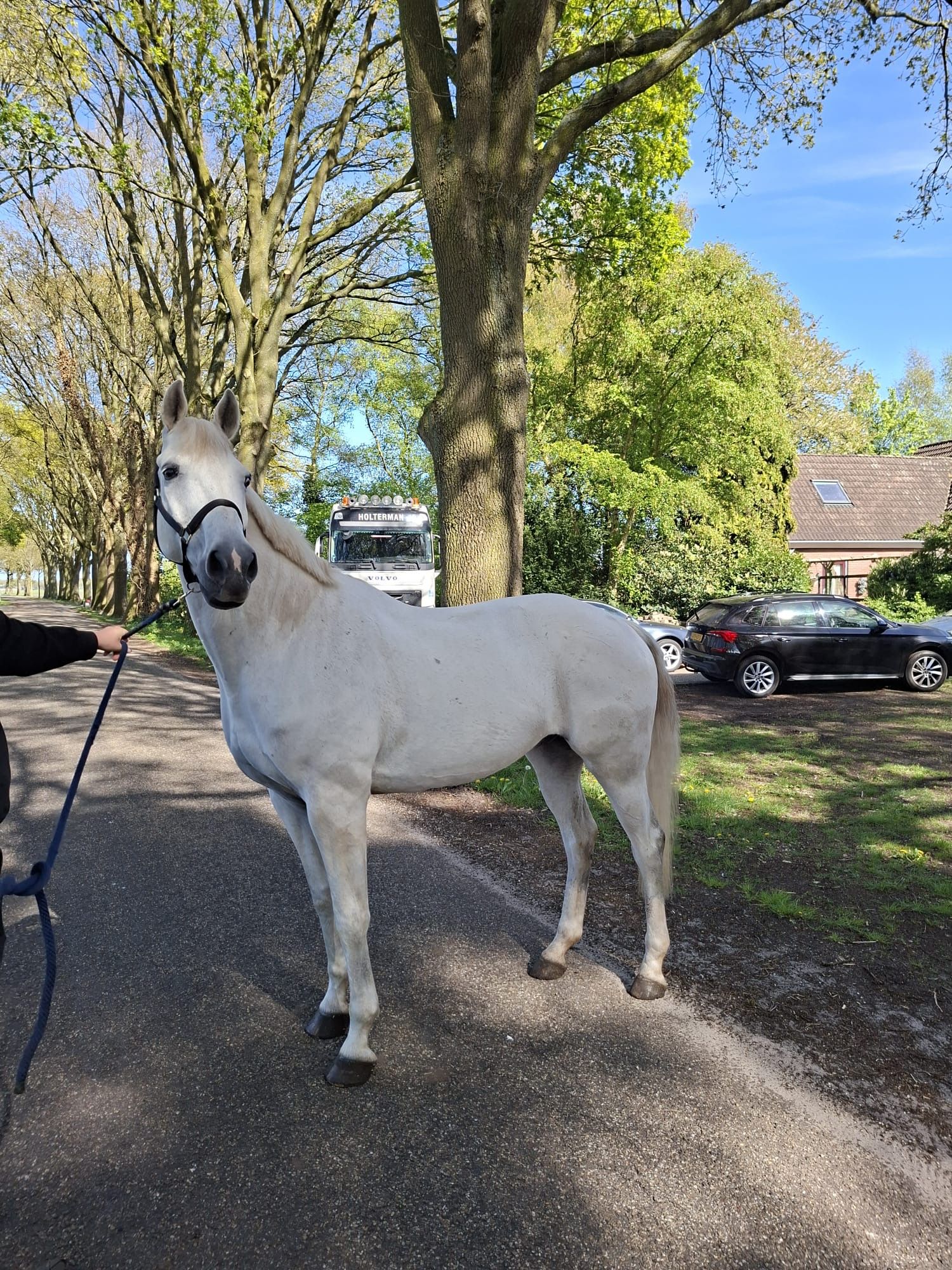 allrounder ruin 14 år schimmel till salu - Foto 6