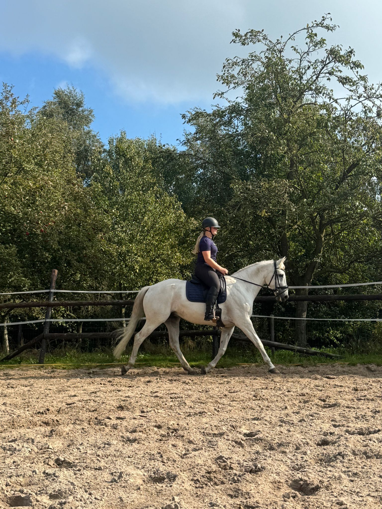 allrounder ruin 14 år schimmel till salu - Foto 3