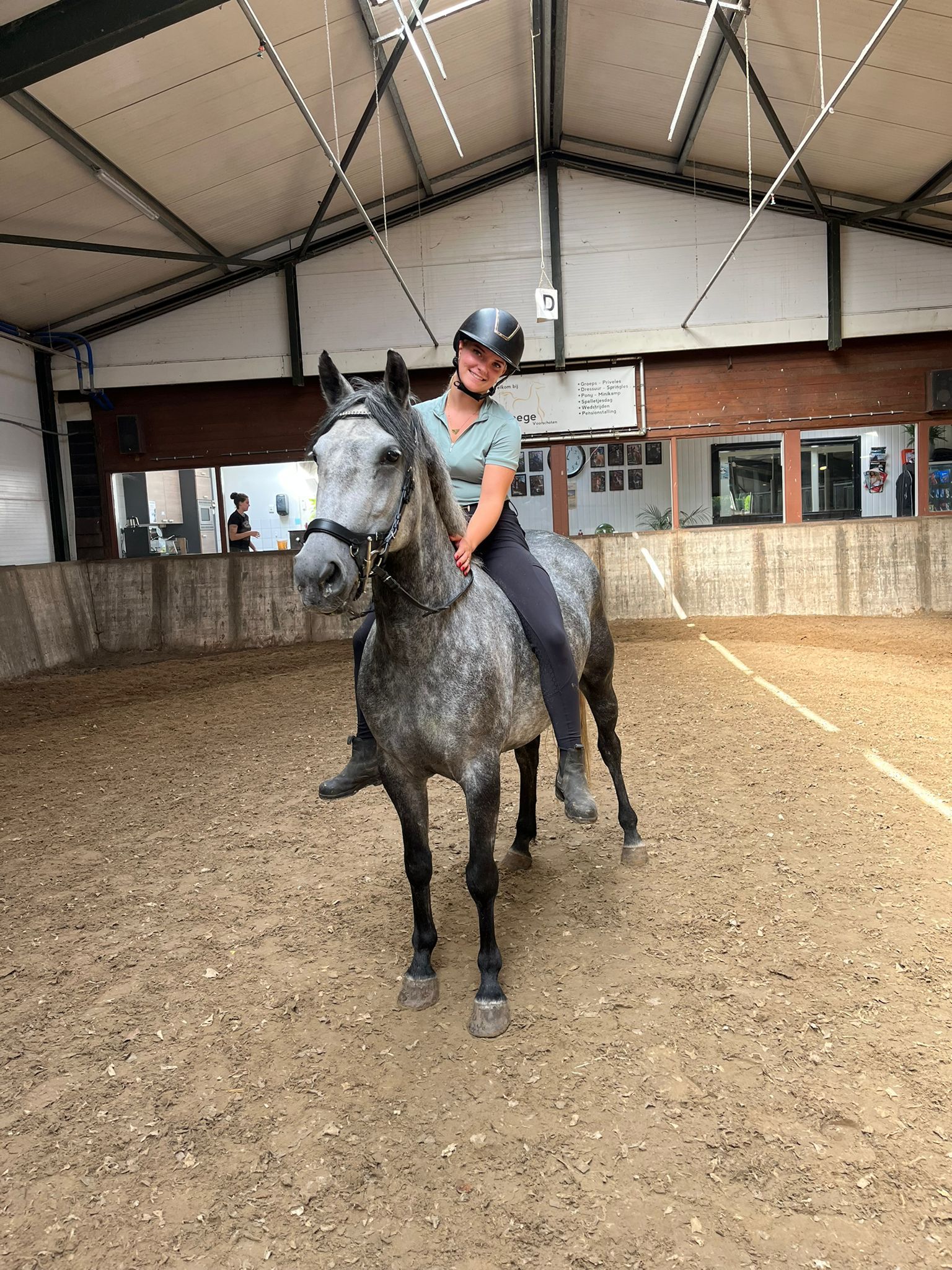 allround-pony merrie 7 años schimmel en venta - Foto 4