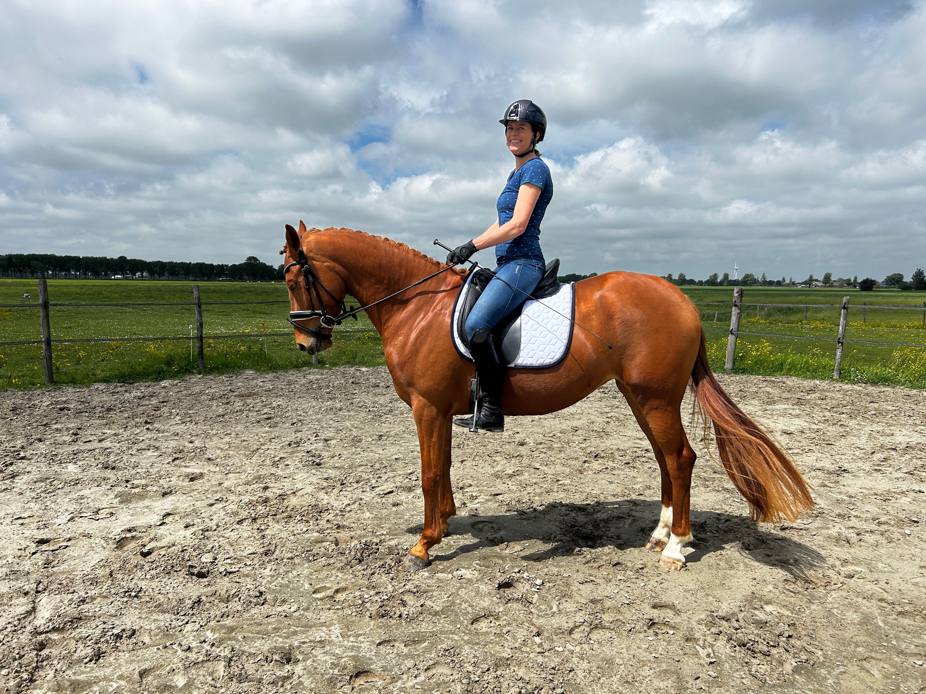 5-year-old Desperado x Galaxie