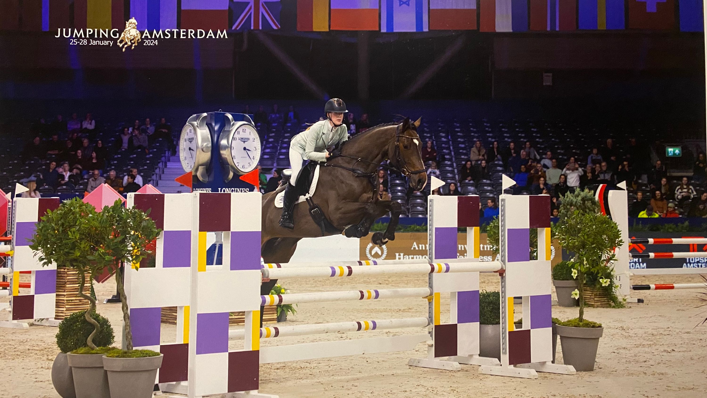 Versatile 8-year-old KWPN mare Connect X Sibon W