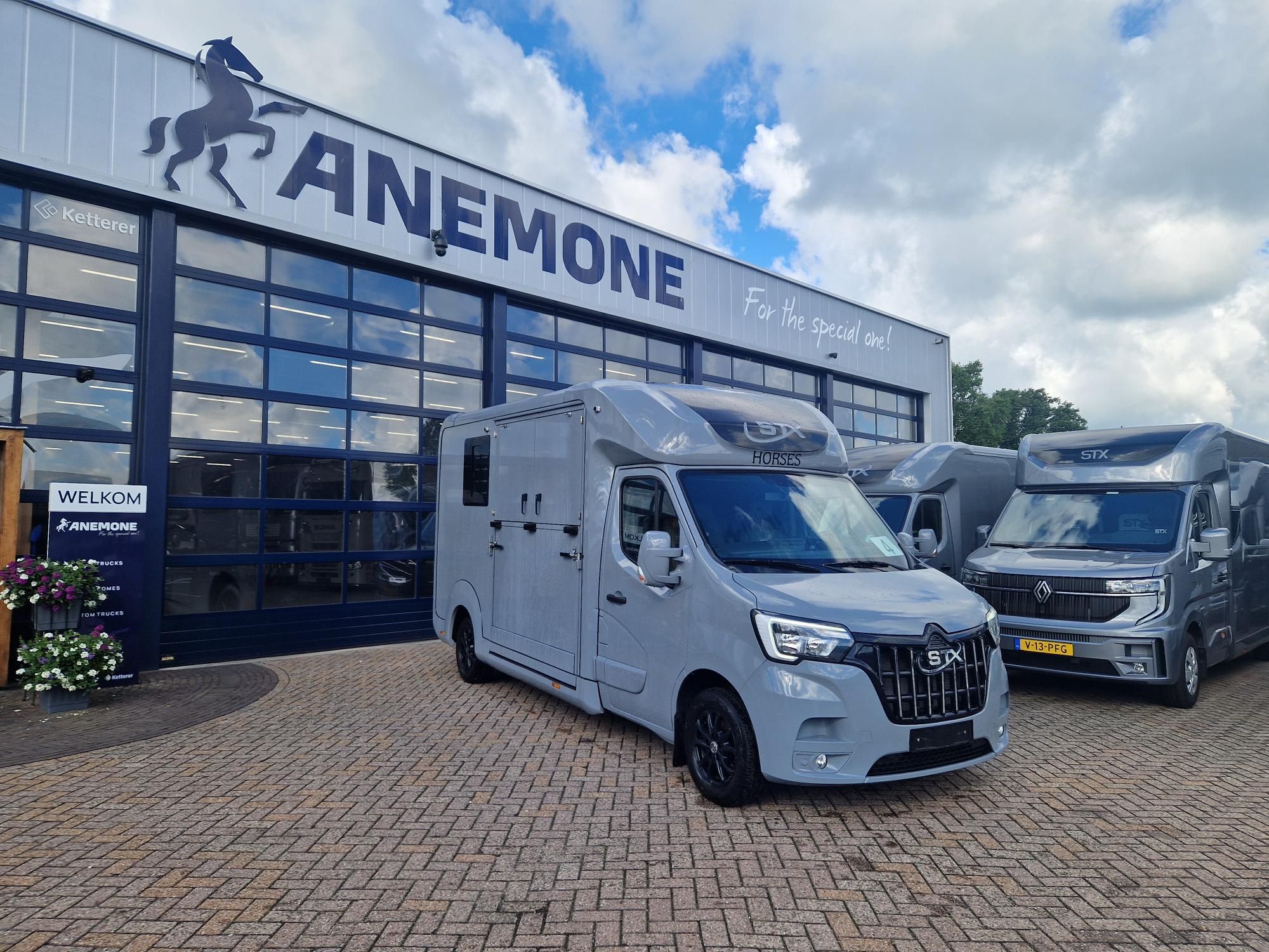 Lätt begagnad Renault Master Pro-Safety hingstutförande Anemone (id:4)