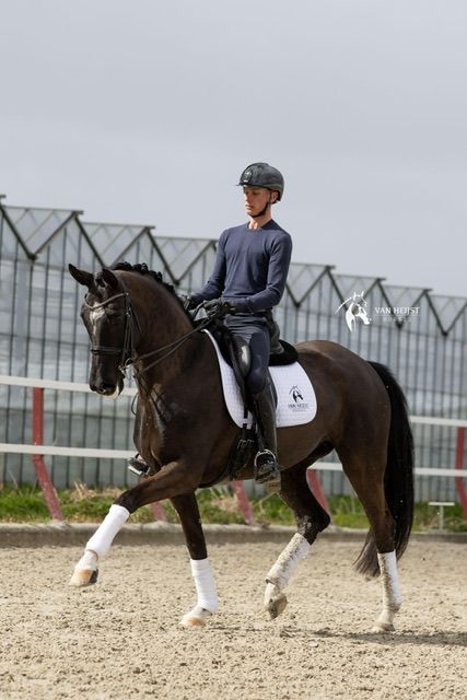 才能あふれる7歳牝馬