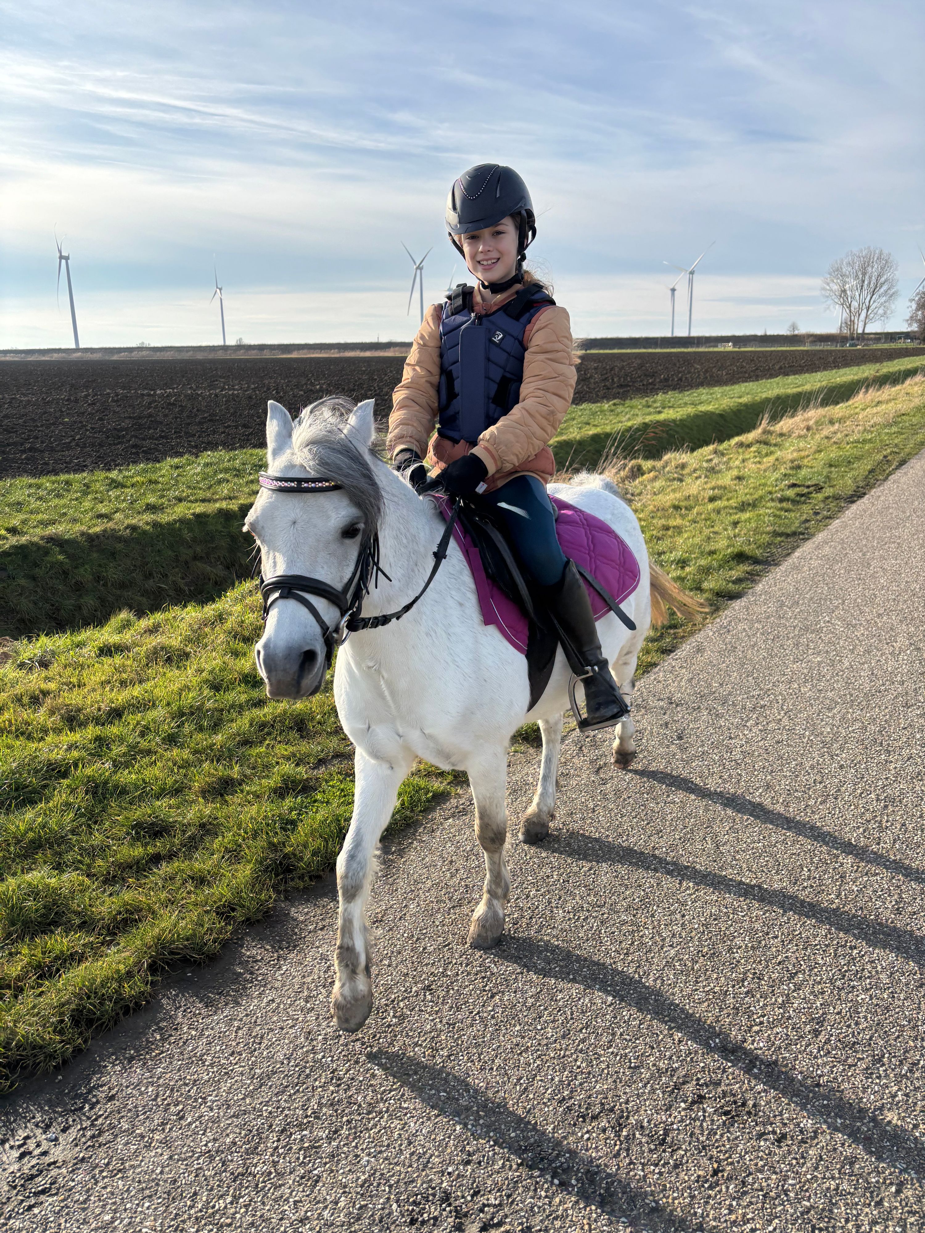 welsh allround-pony merrie 9 years old schimmel for sale - Main photo