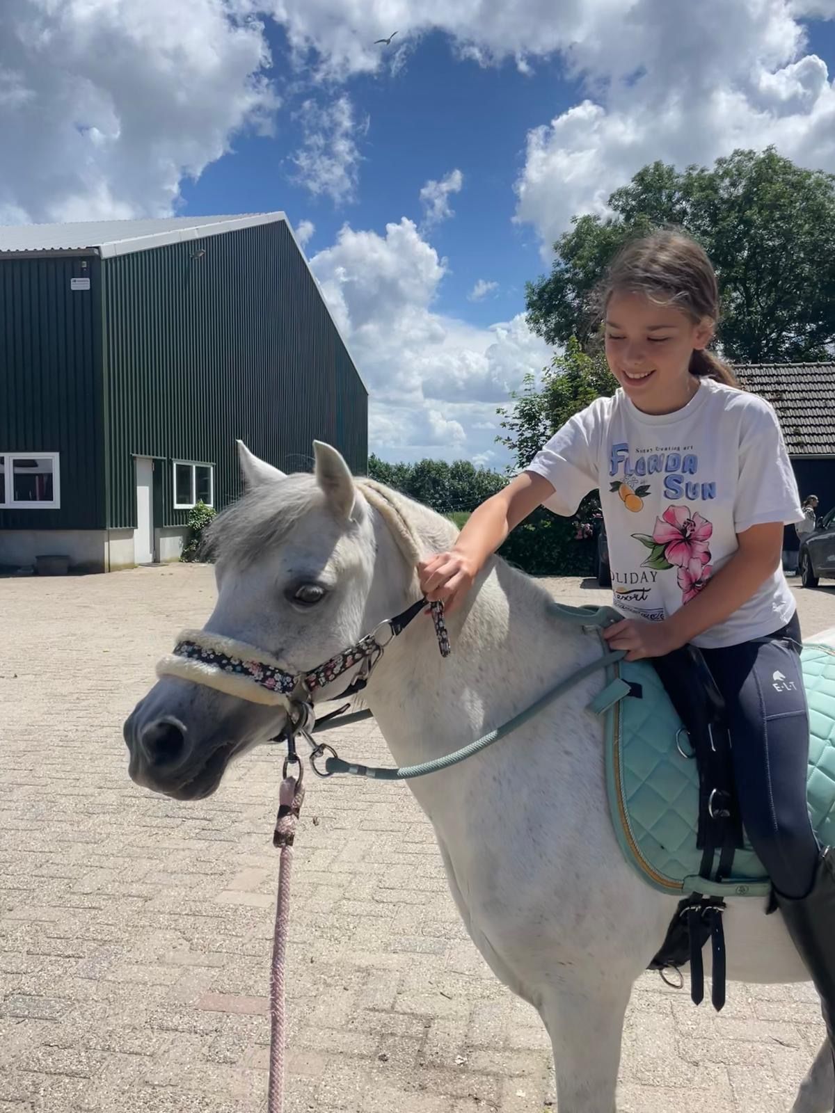 welsh allround-pony merrie 9 years old schimmel for sale - Photo 4