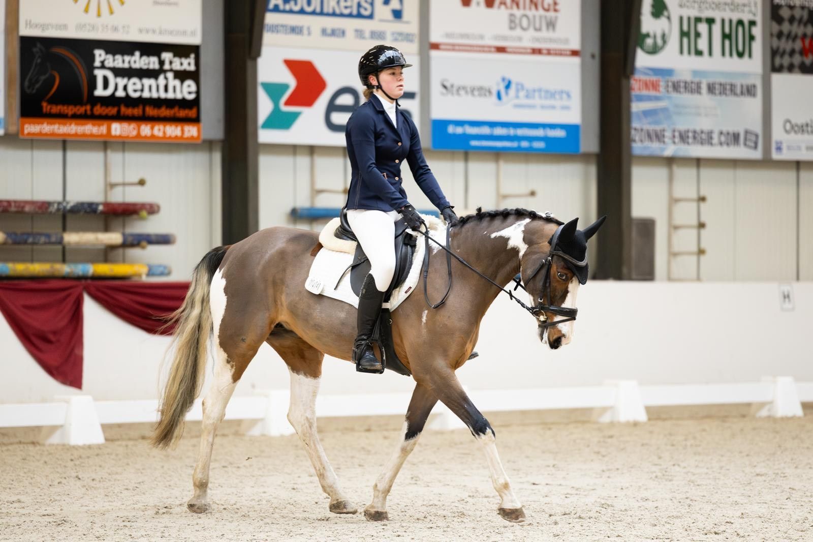 allround-pony merrie 14 jaar andere-kleur te koop - Foto 3