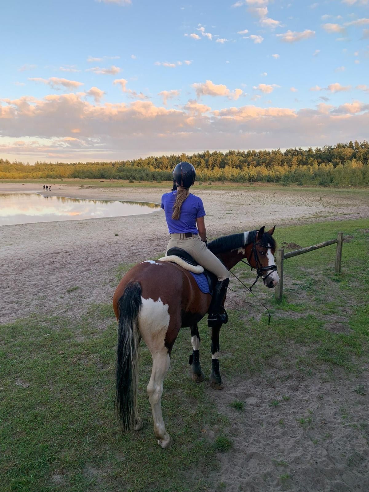 allround-pony merrie 14 jaar andere-kleur te koop - Foto 4
