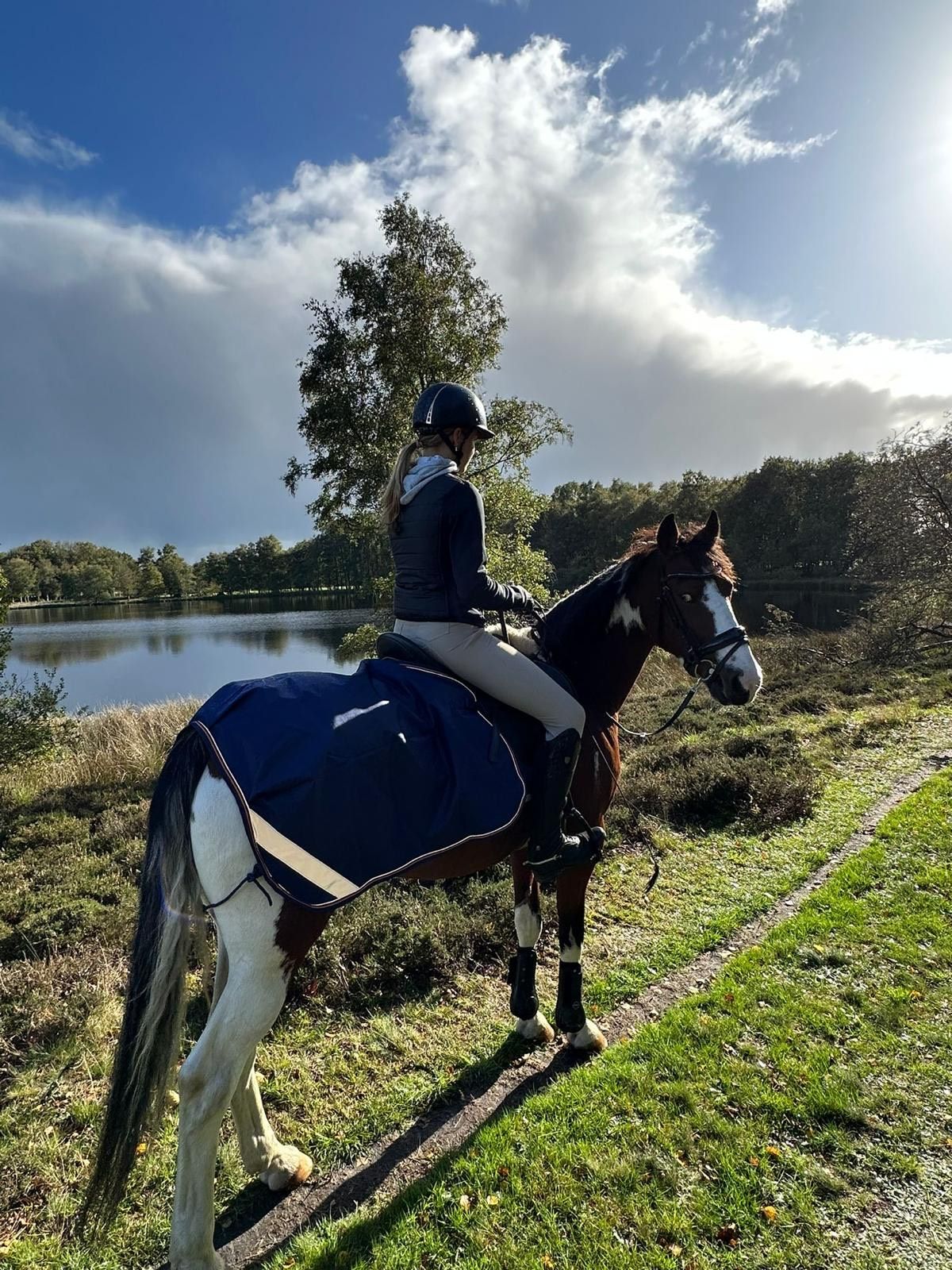 allround-pony merrie 14 jaar andere-kleur te koop - Foto 5