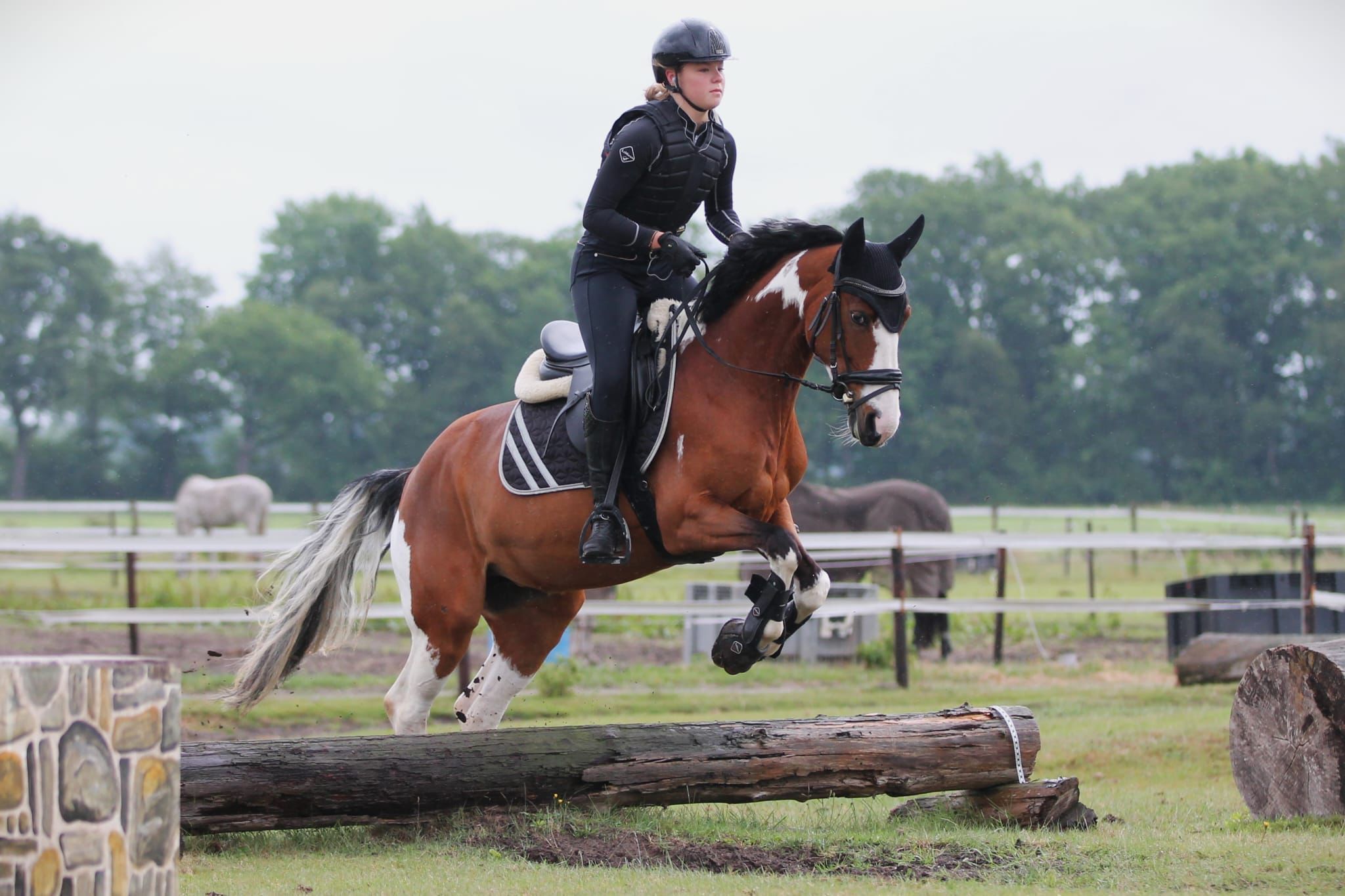 allround-pony merrie 14 jaar andere-kleur te koop - Foto 6