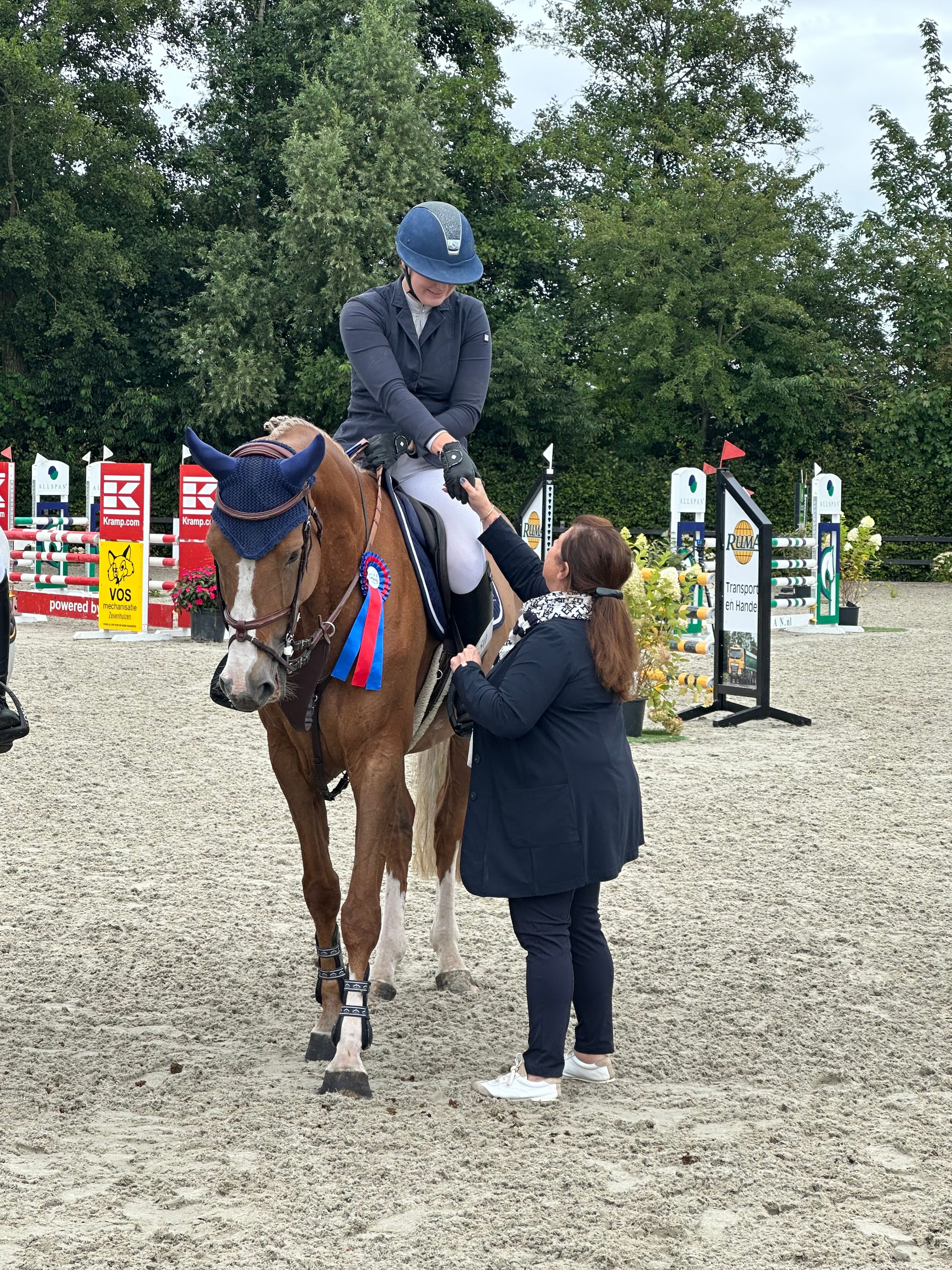 kwpn springpaard merrie 9 years old vos for sale - Photo 5