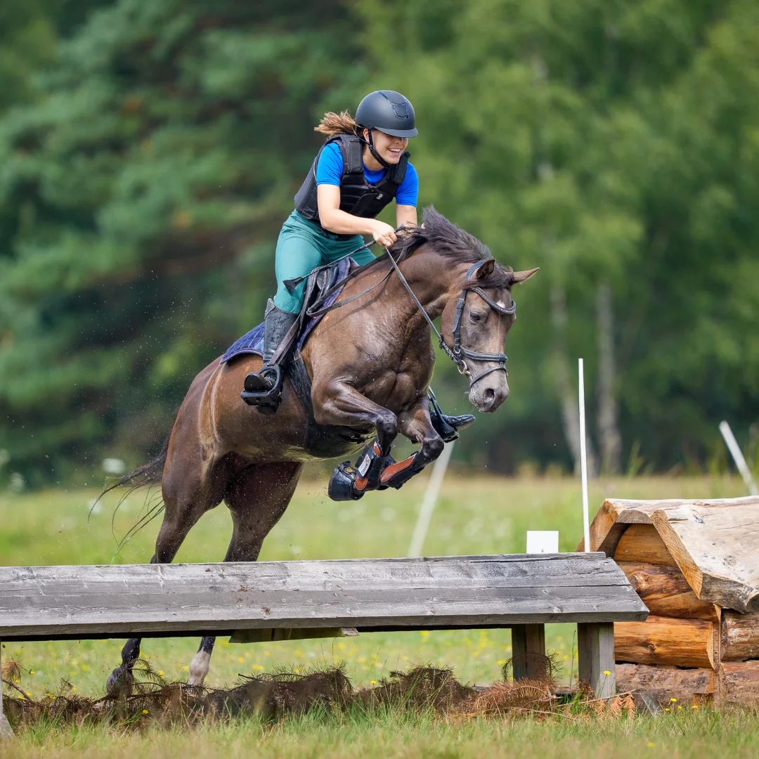 Lovely 10-year-old sport pony!