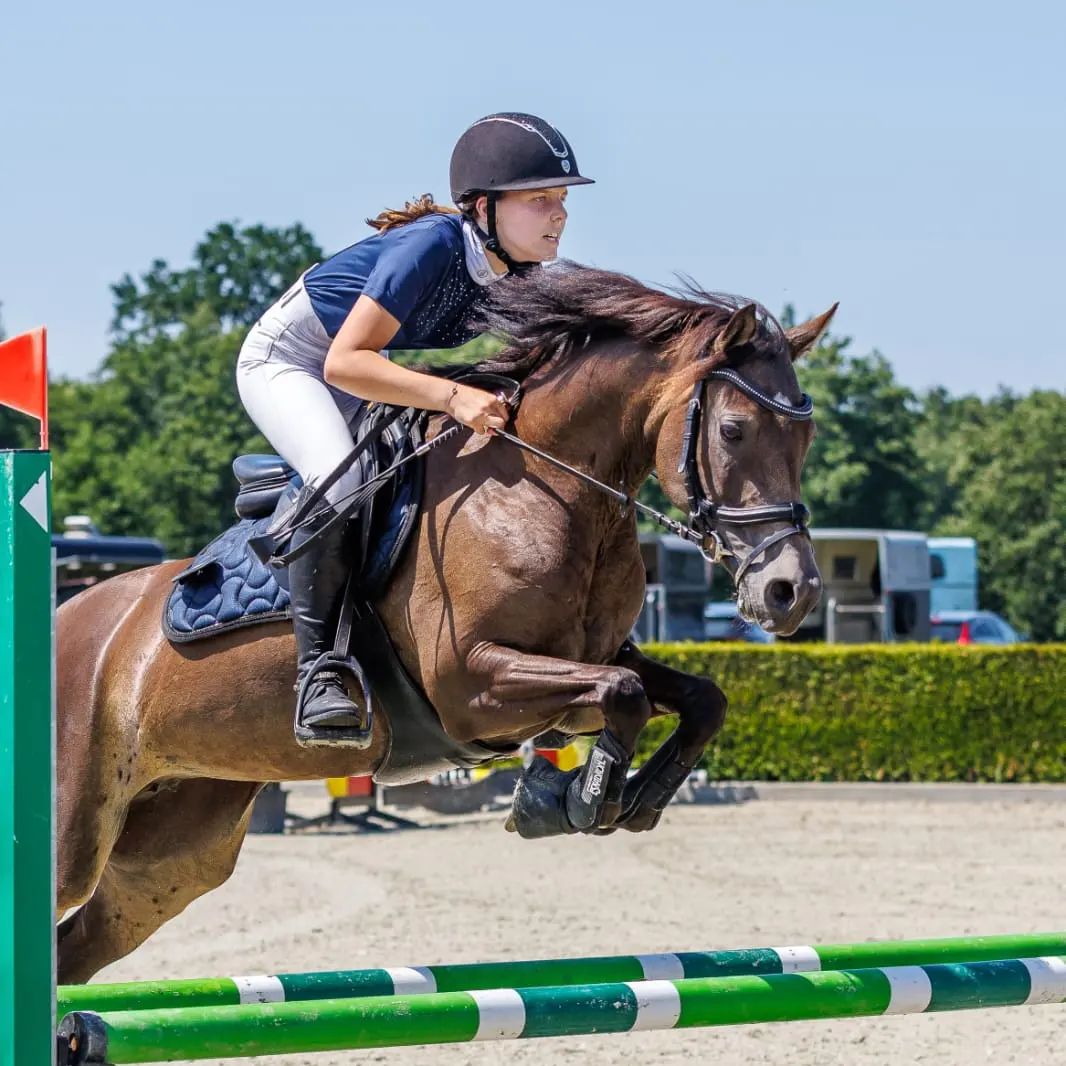 welsh dressuurpony merrie 10 years old andere-kleur for sale - Photo 2