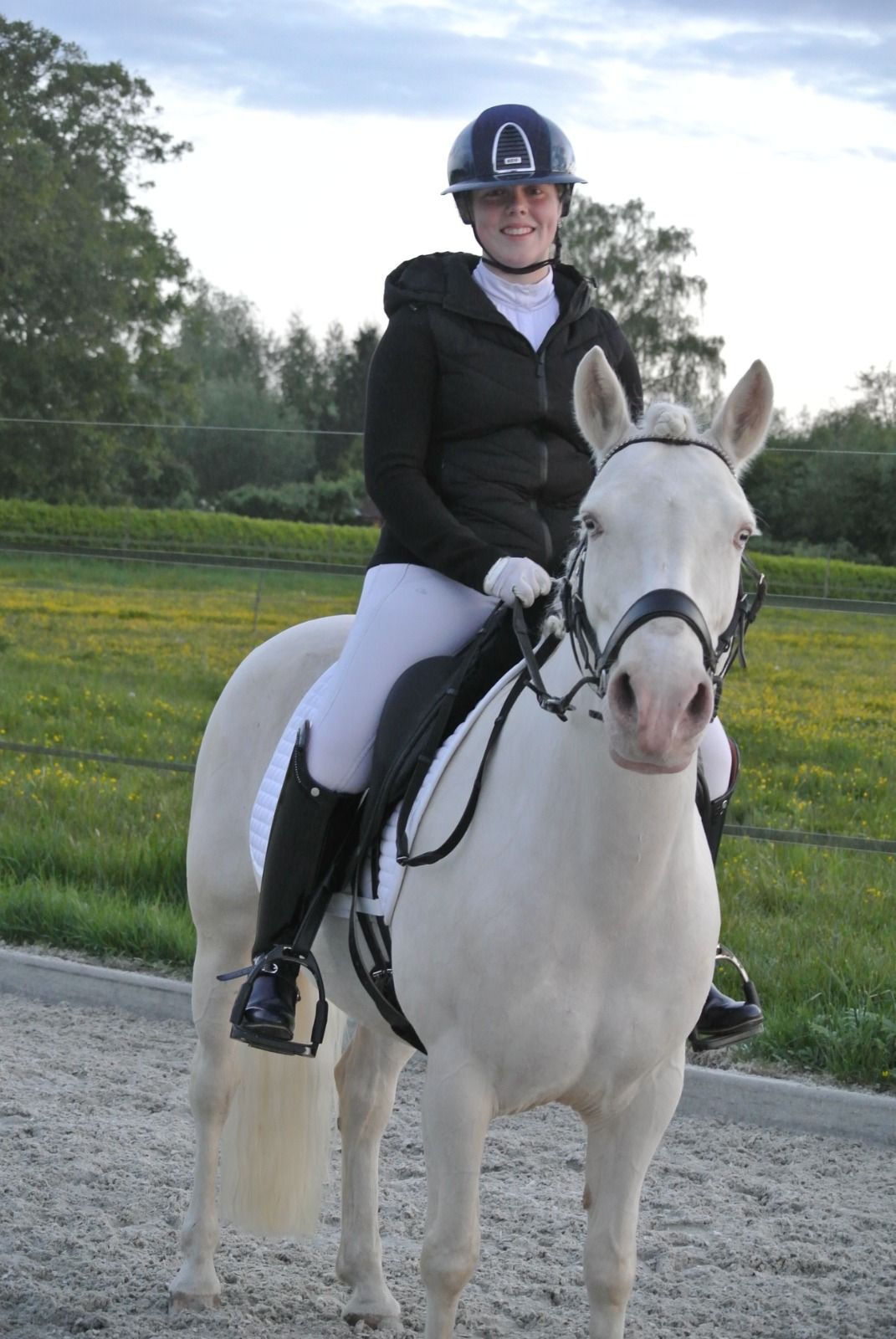 allround-pony merrie 10 jaar andere-kleur te koop - Hoofdfoto