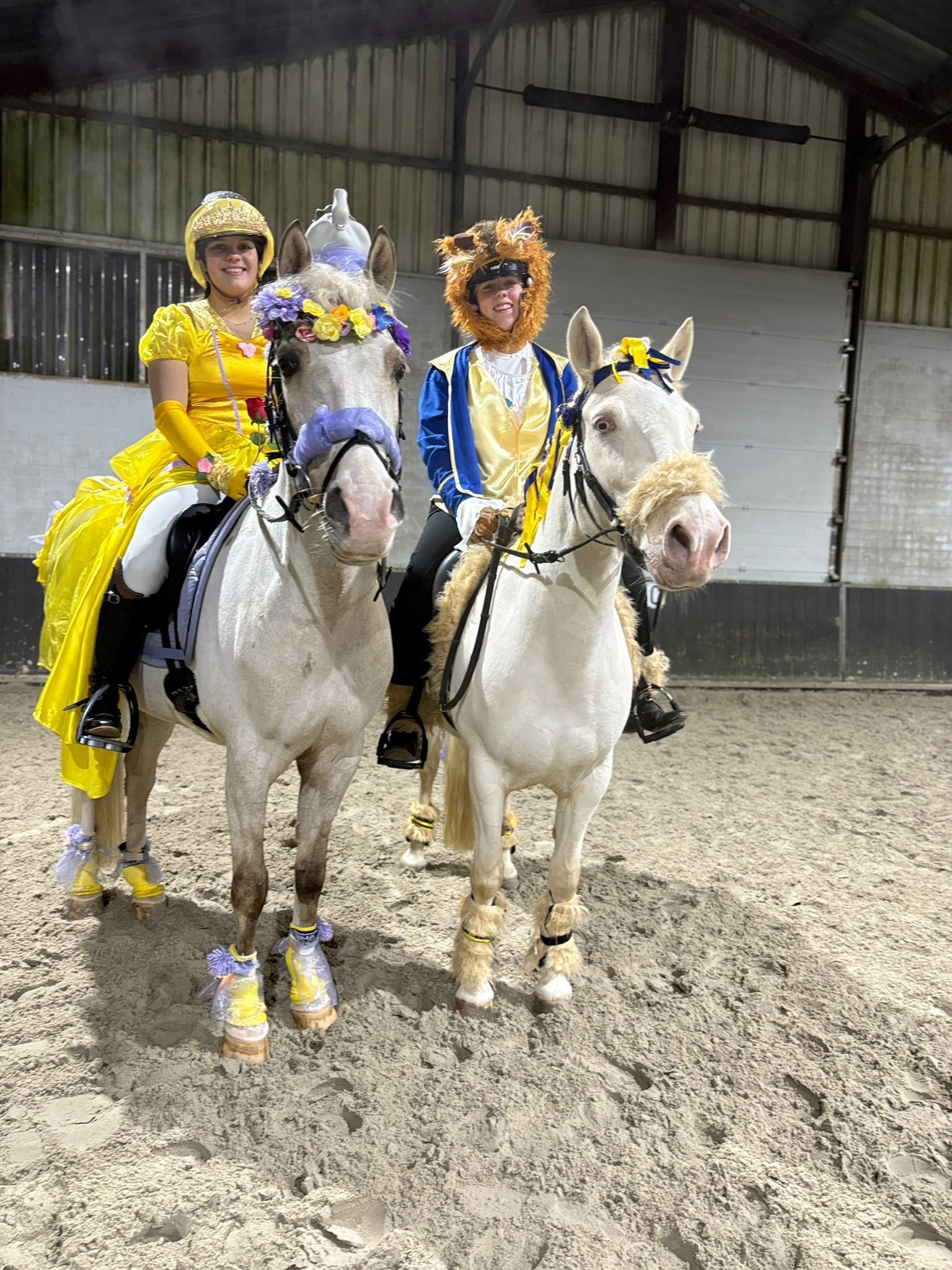 allround-pony merrie 10 jaar andere-kleur te koop - Foto 5