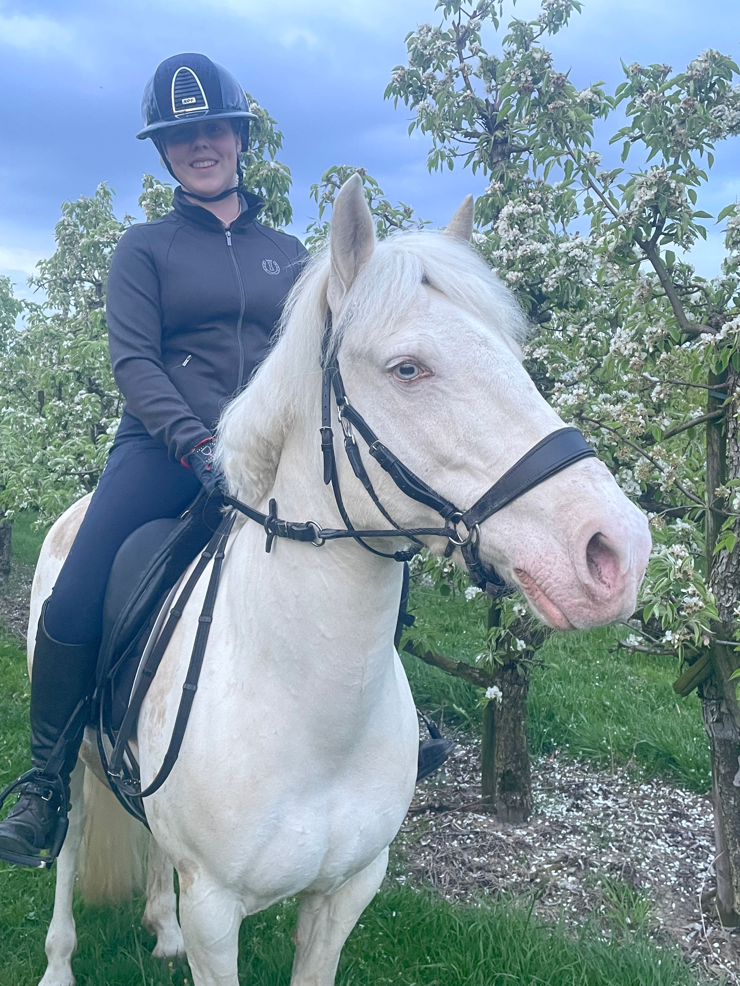 allround-pony merrie 10 jaar andere-kleur te koop - Foto 4